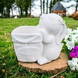 Tavşan Welcome Saksı