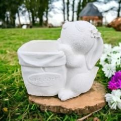 Tavşan Welcome Saksı