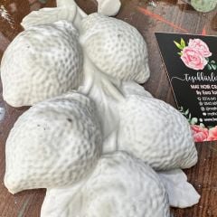 Limon Dalı Polyester Rölyef Obje – Boyamaya Uygun Dekoratif Duvar Süsü