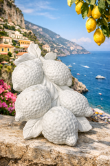 Limon Dalı Polyester Rölyef Obje – Boyamaya Uygun Dekoratif Duvar Süsü