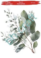 Sulu Transfer BH St 152 25x35cm okaliptüs