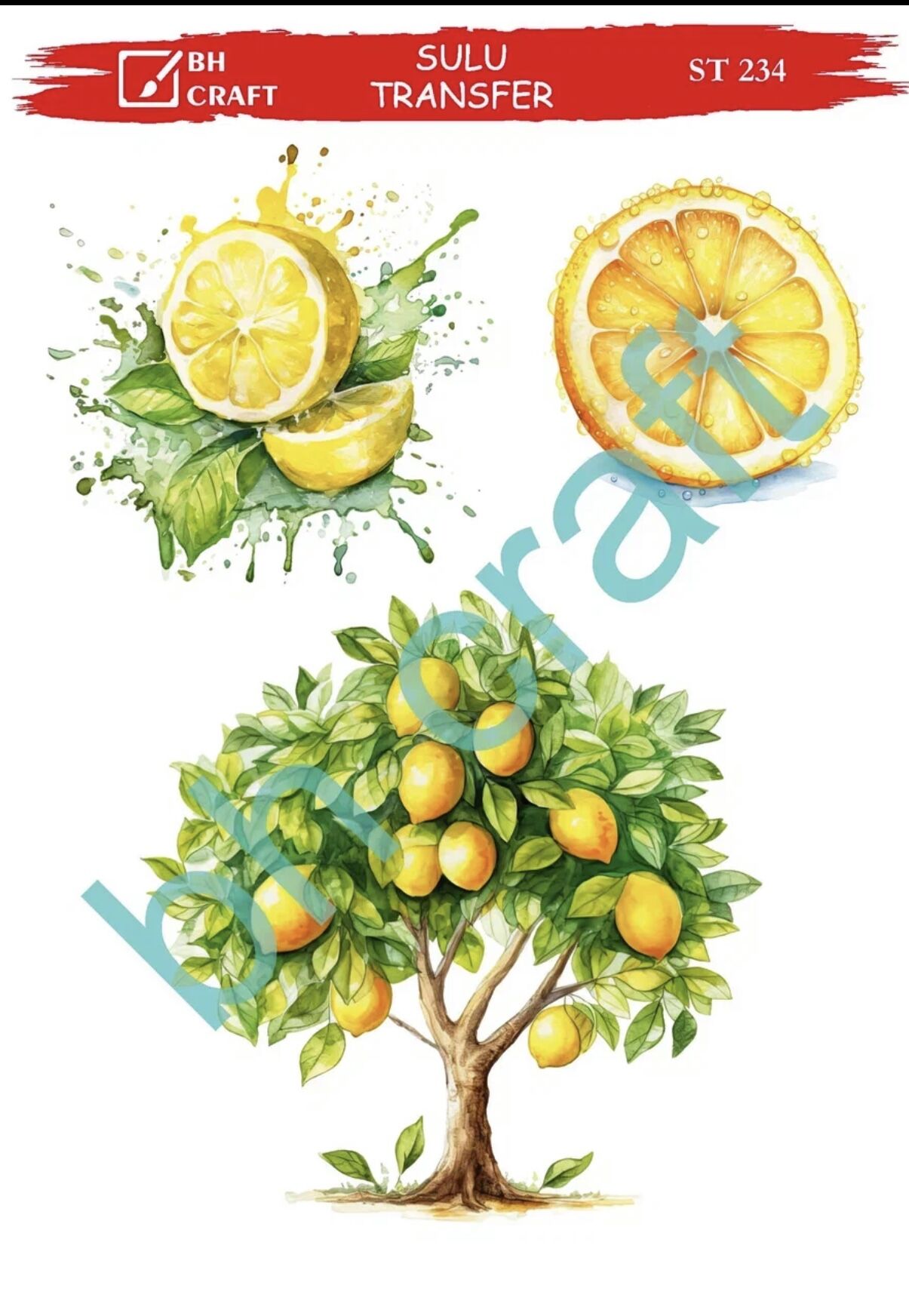 Sulu Transfer BH St 234 25x35cm limon