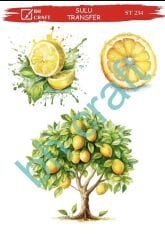 Sulu Transfer BH St 234 25x35cm limon