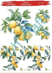 Sulu Transfer BH St 227 25x35cm limon