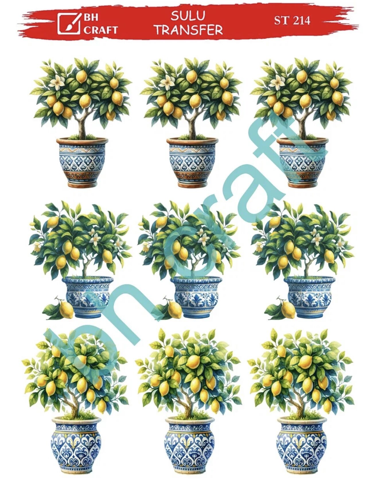 Sulu Transfer BH St 214  25x35cm limon