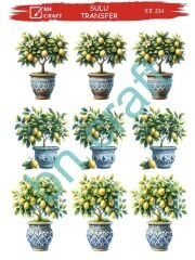 Sulu Transfer BH St 214  25x35cm limon