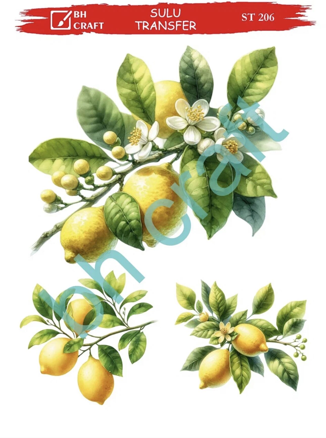 Sulu Transfer BH St 206 25x35cm limon
