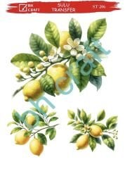 Sulu Transfer BH St 206 25x35cm limon