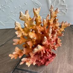 Mercan-Turuncu Küçük