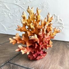 Mercan-Turuncu Küçük