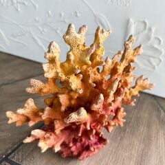 Mercan-Turuncu Küçük