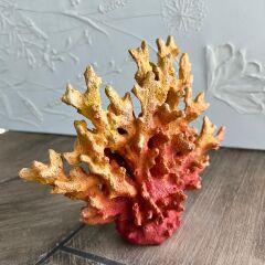 Mercan-Turuncu Küçük