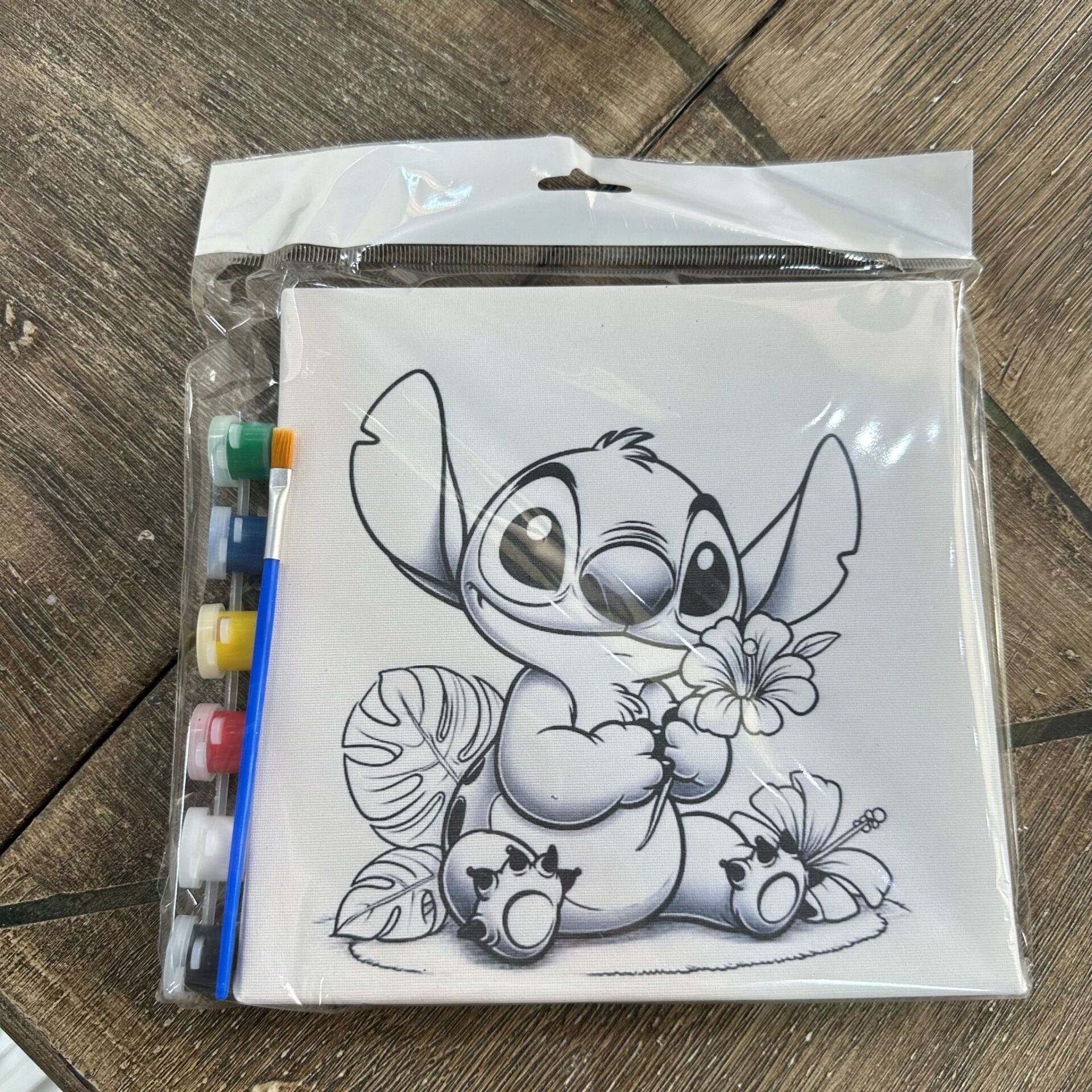 Tuval Boyama Seti Stitch Karakteri