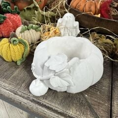 Kabak Saksı Küçük