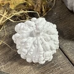 Organik Kabak Küçük