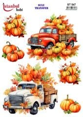 Sulu Transfer IST 547 25x35cm Kabak Desen