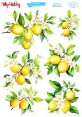Sulu Transfer KOYU ZEMİN No: 005  25x35cm
