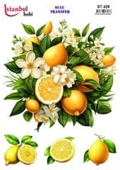 Sulu Transfer IST 429 25x35cm Limon Desen