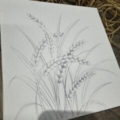 Hasat Serisi Model-1