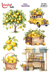 Sulu Transfer IST 843 25x35cm Limon