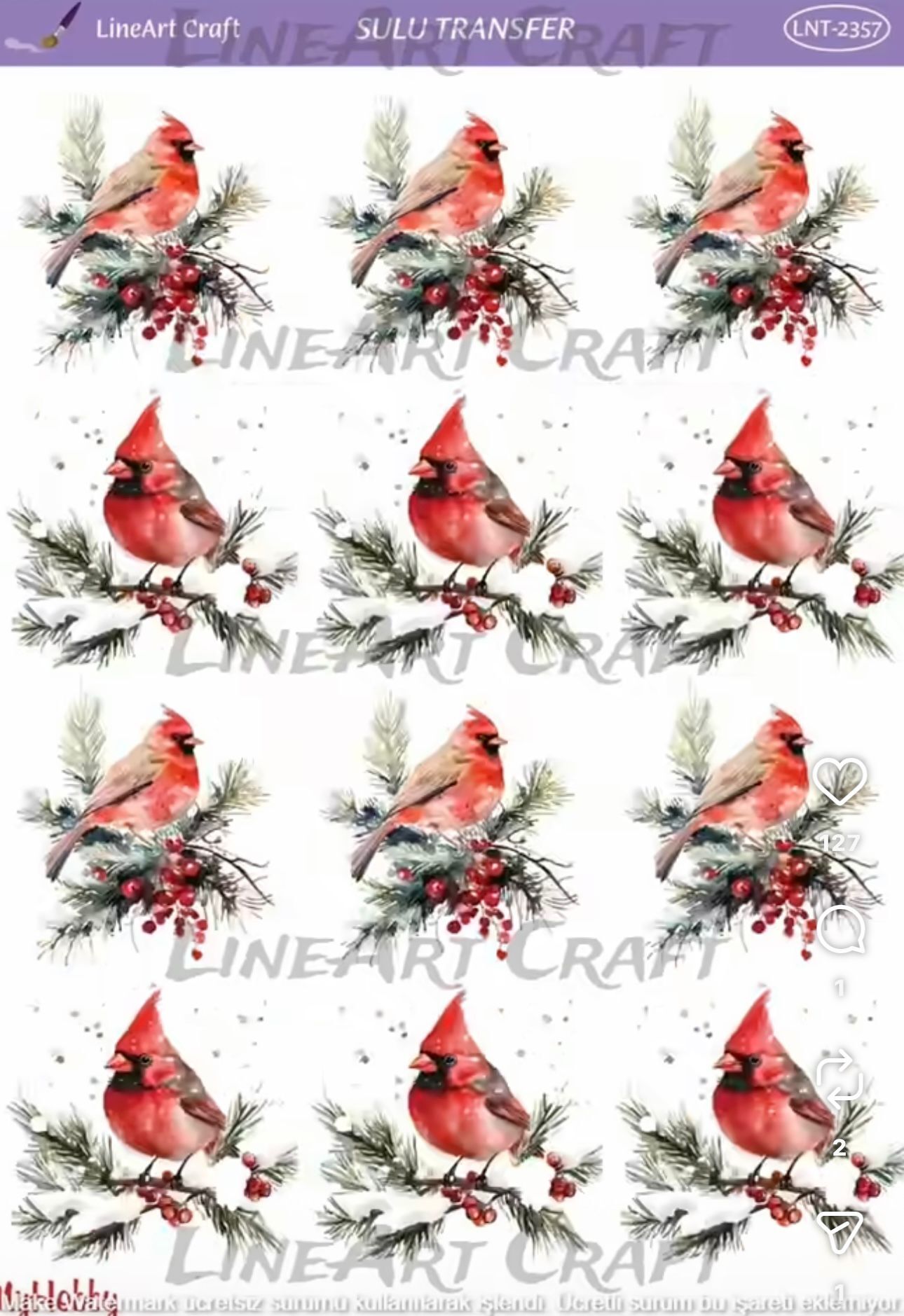 Sulu Transfer LNT 2357 yılbaşı kardinal kuşu