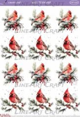 Sulu Transfer LNT 2357 yılbaşı kardinal kuşu