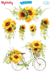 Sulu Transfer 364  25x35cm