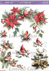 Sulu Transfer LNT 2358 yılbaşı kardinal kuşu