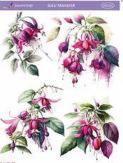 Sulu Transfer LNT 115  25x35cm