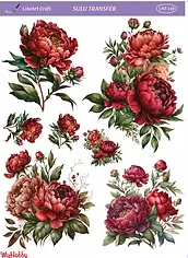 Sulu Transfer LNT 118  25x35cm