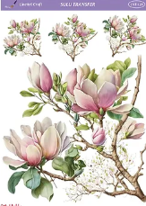 Sulu Transfer LNT 138  25x35cm manolya