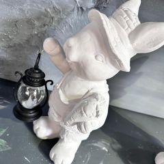 Erkek Tavşan Fenerli