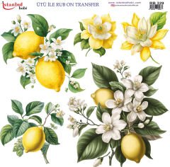 Ütü ile Rubon Baskı Transfer–RB 329