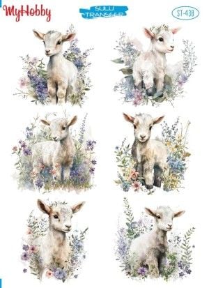 438 Sulu Transfer 438  25x35cm