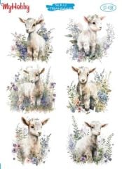 438 Sulu Transfer 438  25x35cm