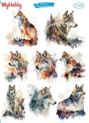 439 Sulu Transfer 439  25x35cm