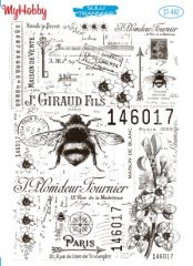 442 Sulu Transfer 442  25x35cm