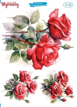 450 Sulu Transfer 450  25x35cm