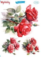 450 Sulu Transfer 450  25x35cm