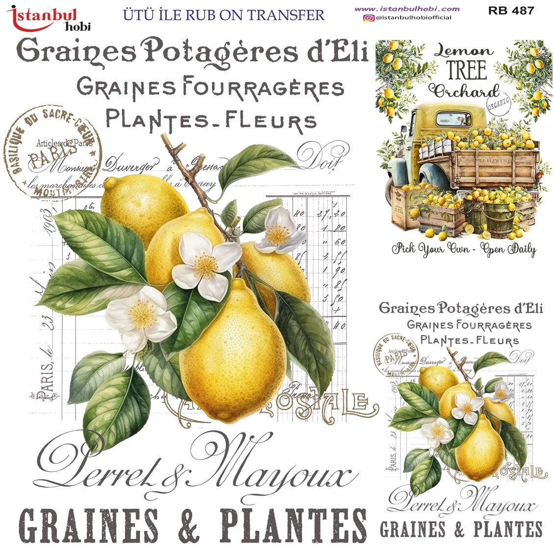 Ütü ile Rubon Baskı Transfer–RB 487