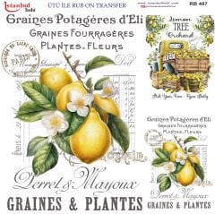 Ütü ile Rubon Baskı Transfer–RB 487