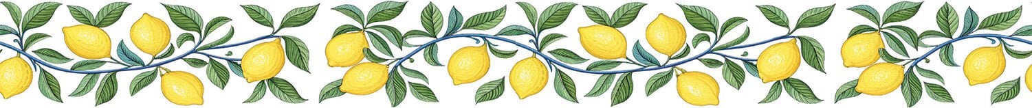 Ütü ile Rubon Baskı Transfer –150cm Bordür Rk 147