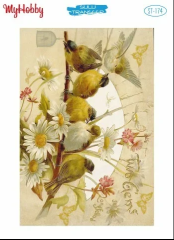 174 Sulu Transfer 174  25x35cm