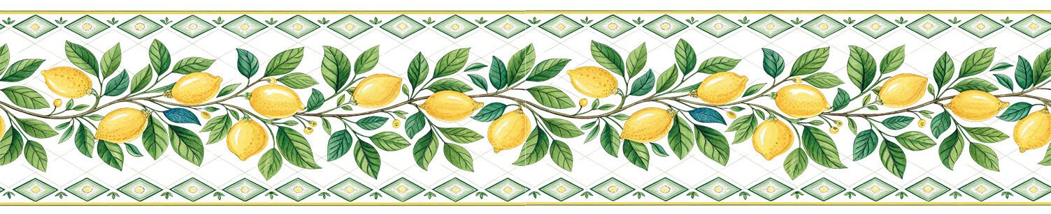 Ütü ile Rubon Baskı Transfer –150cm Bordür Rk 148