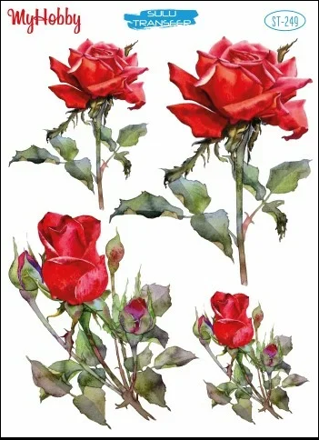 249 Sulu Transfer 249  25x35cm