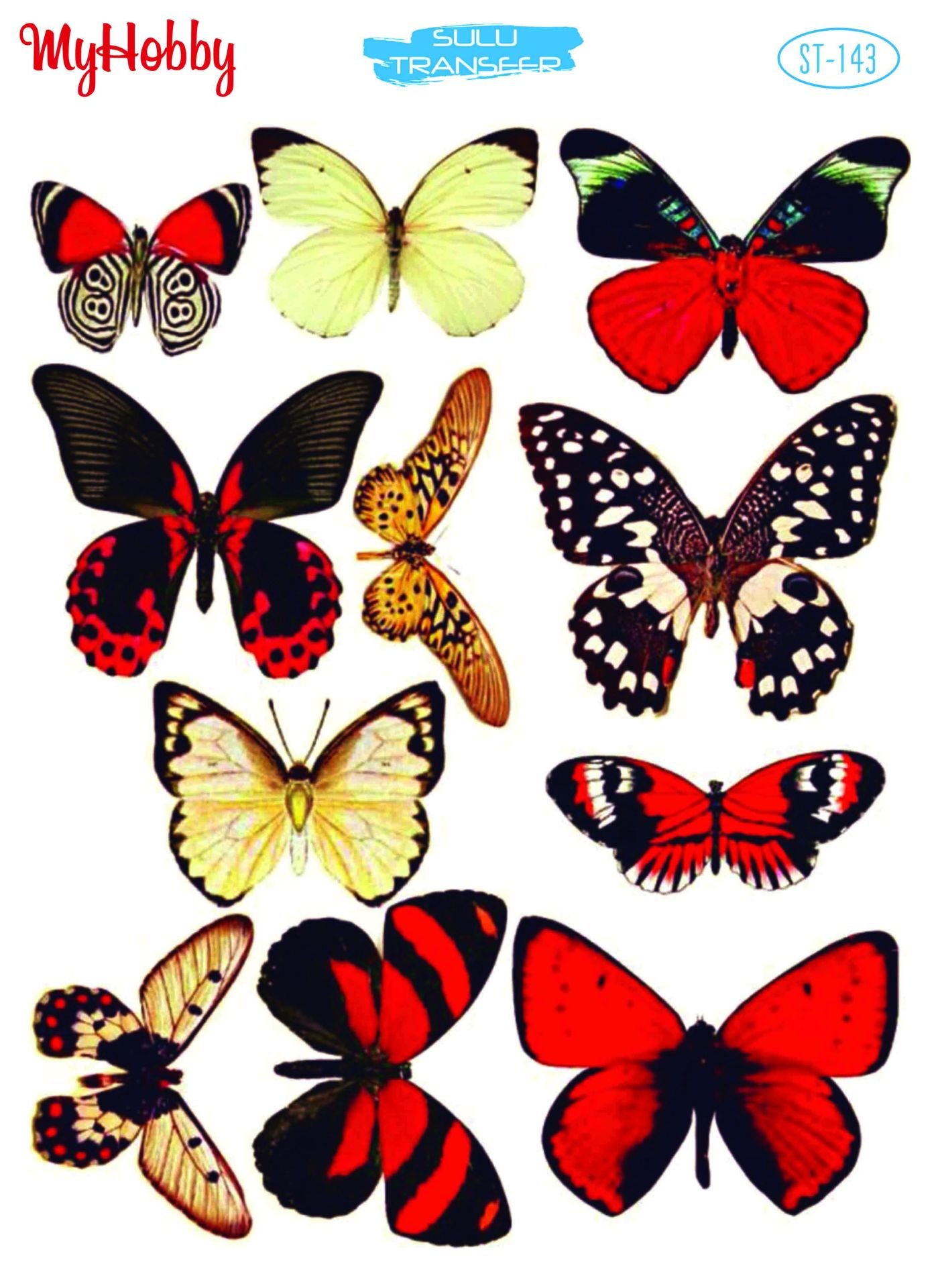 143 Sulu Transfer 143  25x35cm