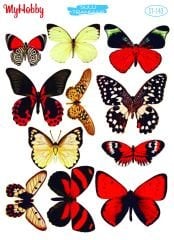 143 Sulu Transfer 143  25x35cm