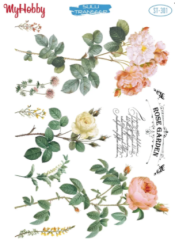 301 Sulu Transfer 301  25x35cm