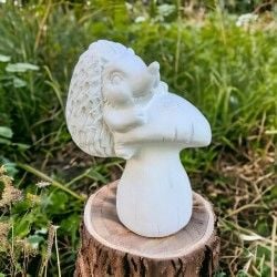 Mantara Çıkmış Kirpi