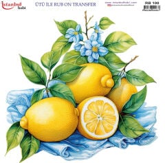 Ütü ile Rubon Baskı Transfer–RB 100